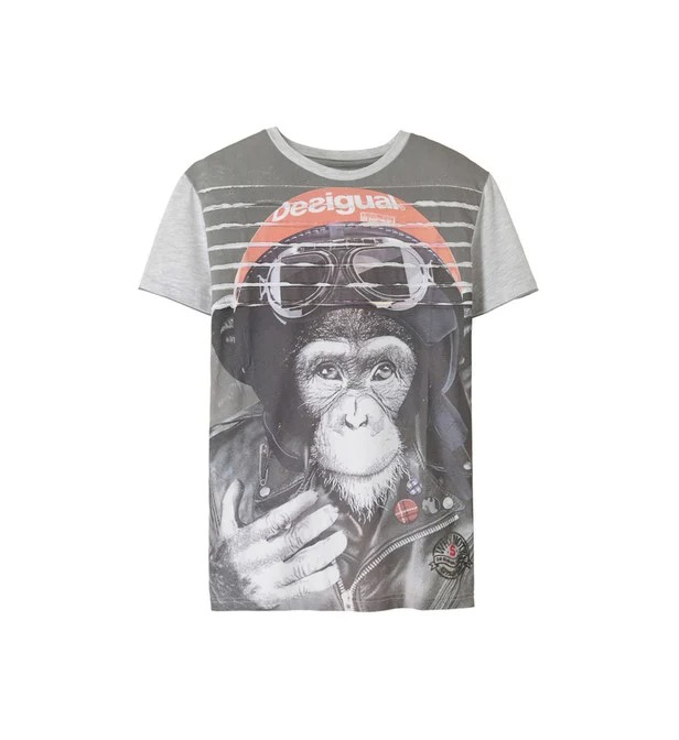 インパクト大！猿のプリントTシャツ